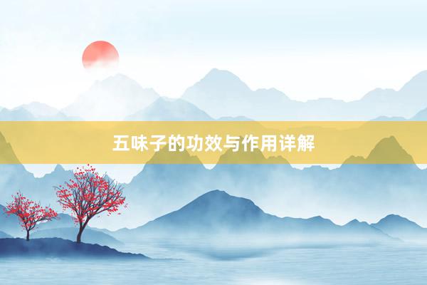 五味子的功效与作用详解