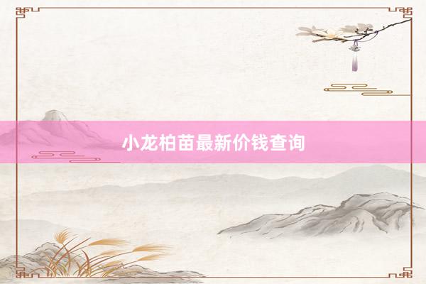 小龙柏苗最新价钱查询