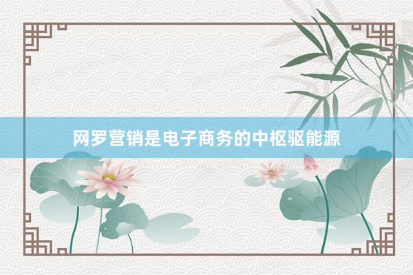网罗营销是电子商务的中枢驱能源